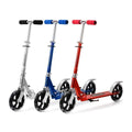 🛴 Roller Board scotty
